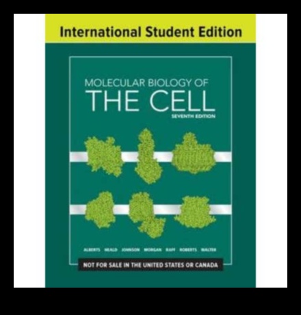 Molekulārais audekls: Uztura bioķīmijas portreta gleznošana