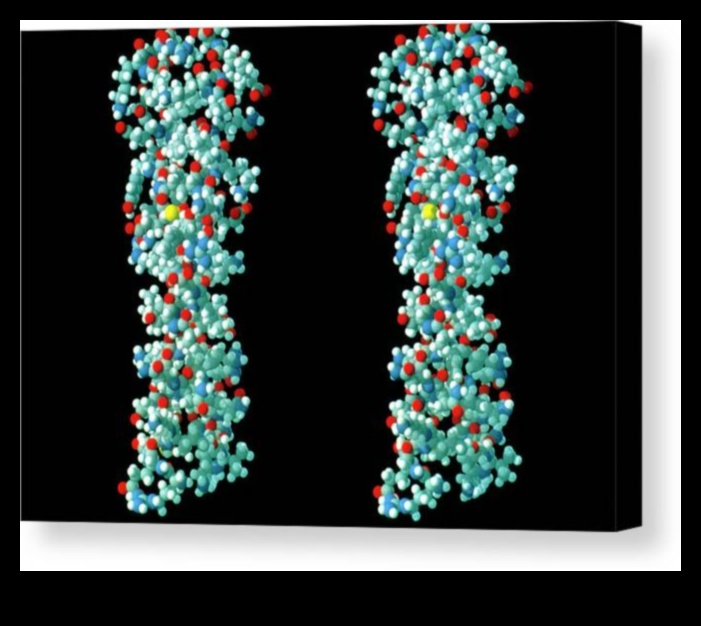 Molekulārais audekls: Uztura bioķīmijas portreta gleznošana