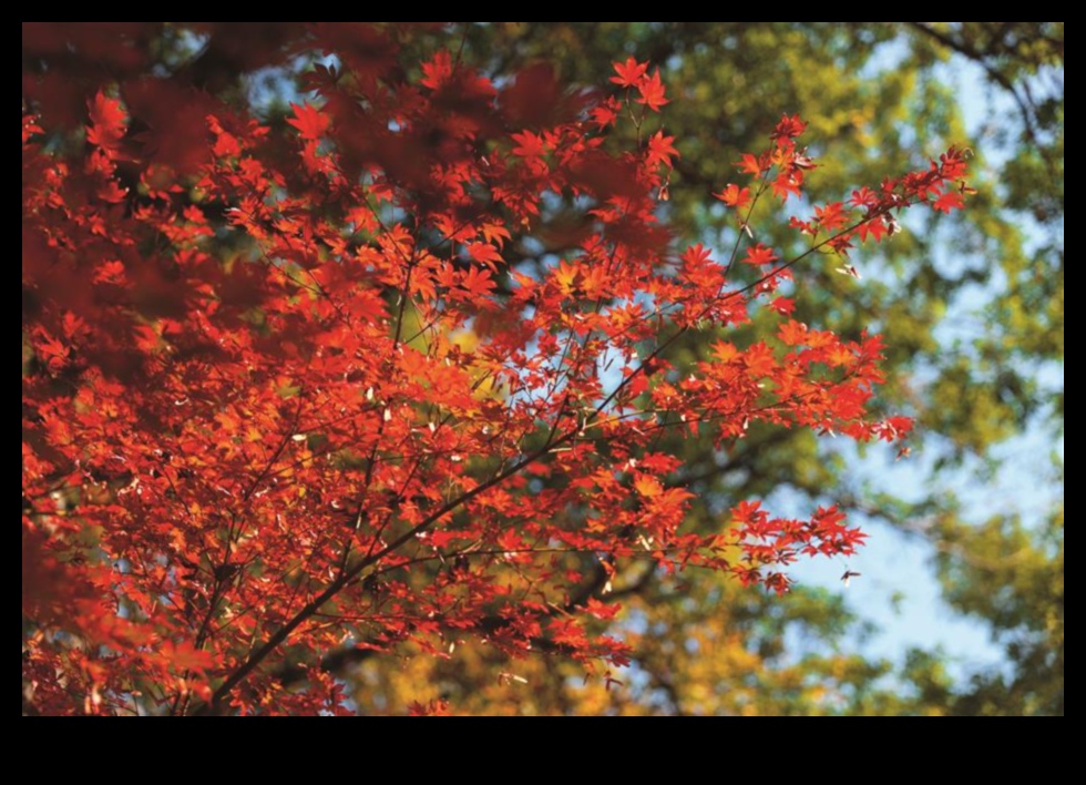 Zelta dārzs: zied mirdzošā zeltā