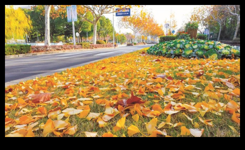 Zelta dārzs: zied mirdzošā zeltā