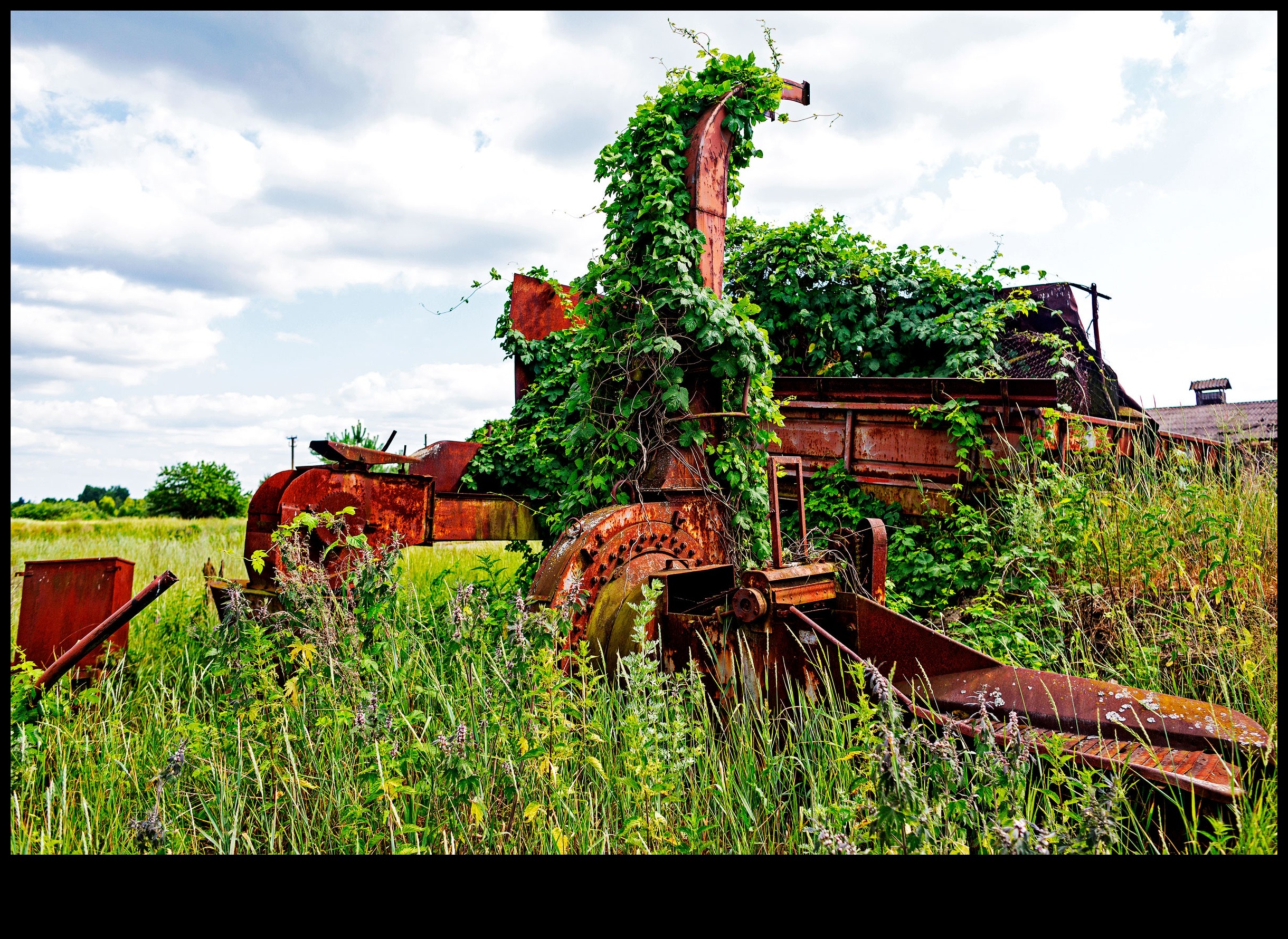 Pārpilnības lauki: lauksaimniecības zeme un labības lauki fokusā
