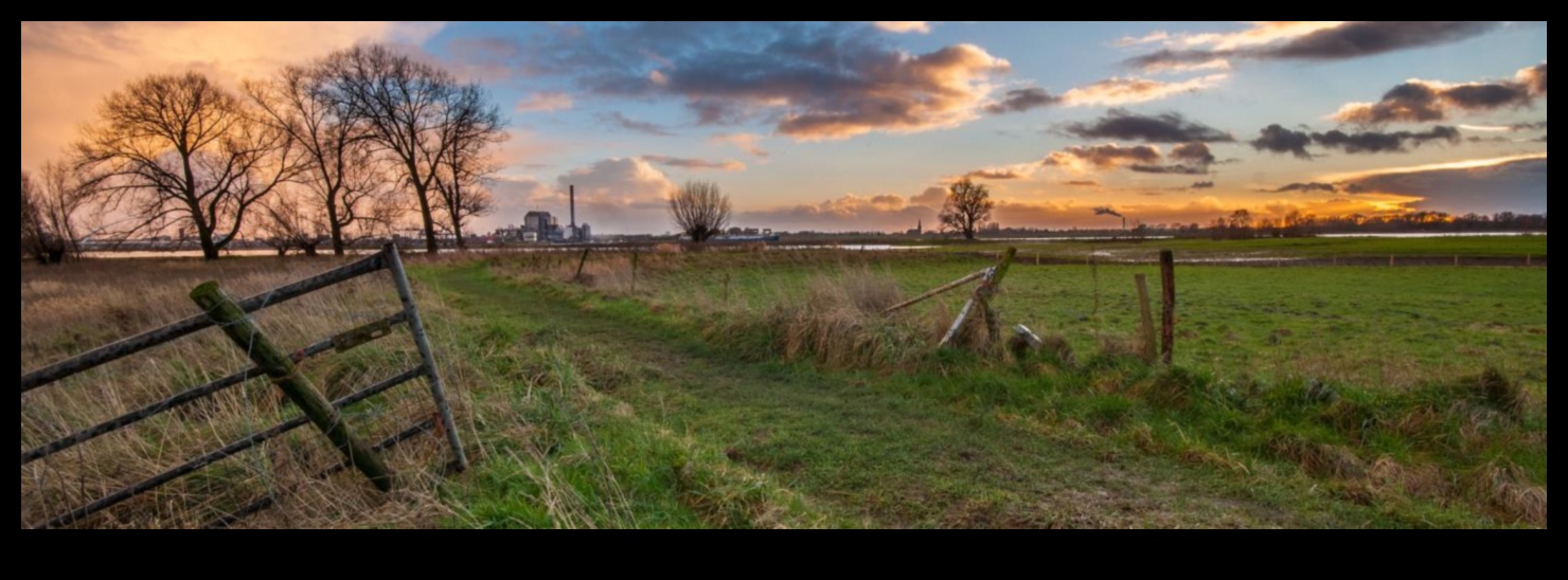 Pārpilnības lauki: lauksaimniecības zeme un labības lauki fokusā