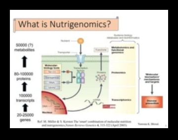 Gēni harmonijā: Nutrigenomikas zinātnes izpēte