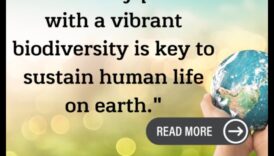 Lietusmežu bagātības: bioloģiskā daudzveidība sulīgās ainavās