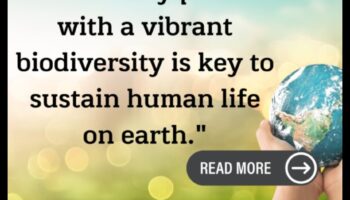 Lietusmežu bagātības: bioloģiskā daudzveidība sulīgās ainavās