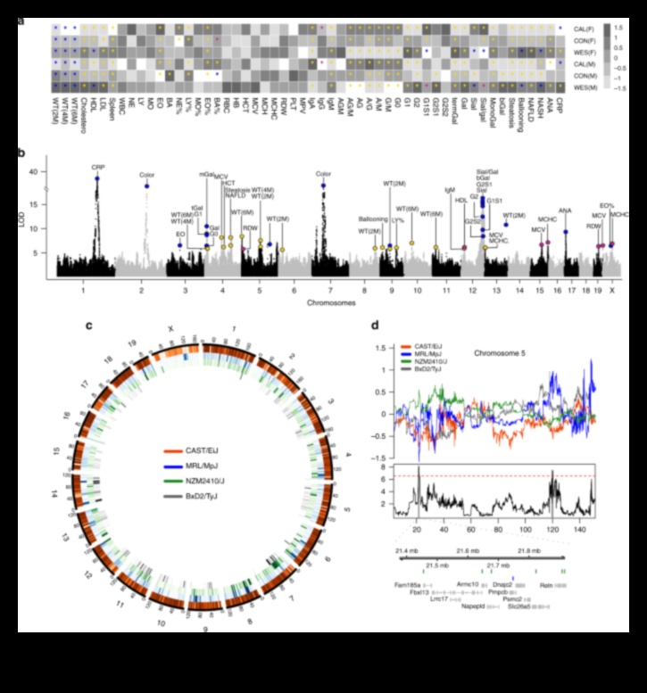 Dzīvesveida diētas un ģenētikas ietekme uz rezultātiem