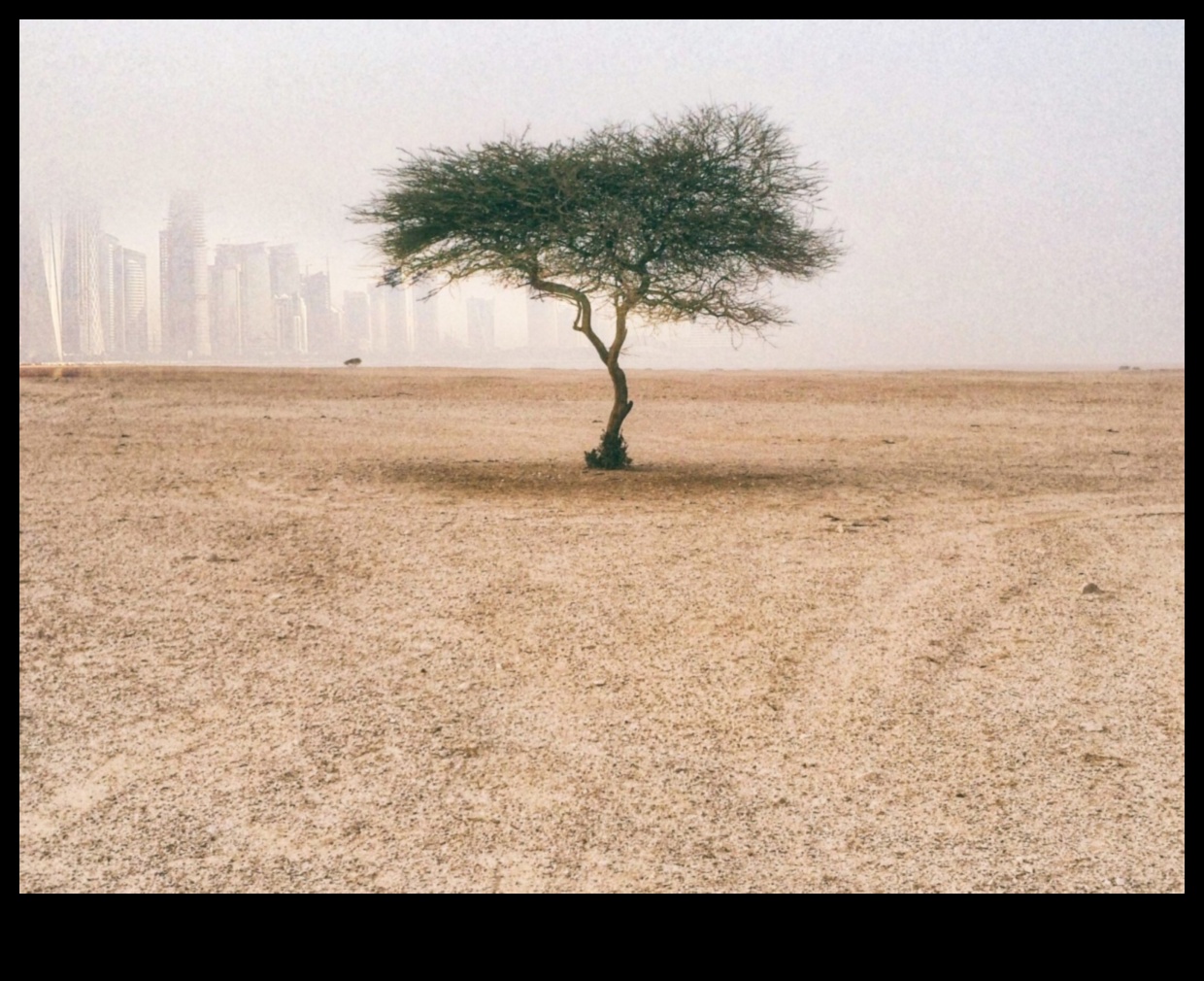 Kā dažādas augsnes saglabāšanas metodes ietekmē ainavu ilgtspējību?