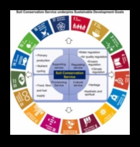 Kā dažādas augsnes saglabāšanas metodes ietekmē ainavu ilgtspējību?