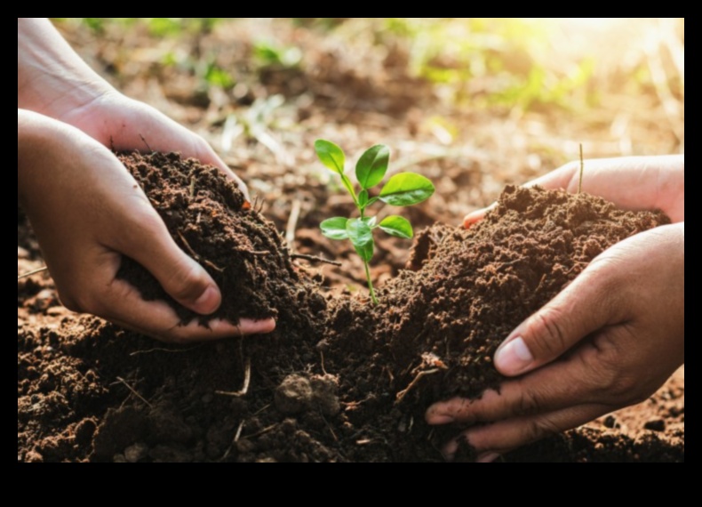 Kā dažādas augsnes saglabāšanas metodes ietekmē ainavu ilgtspējību?