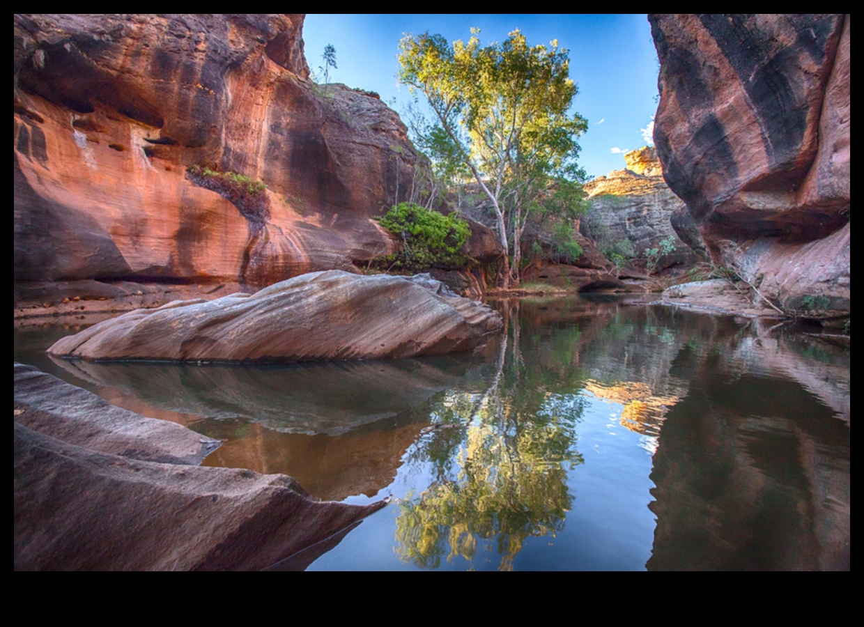 Ekoloģiskās rezerves: dabas drošie patvērumi