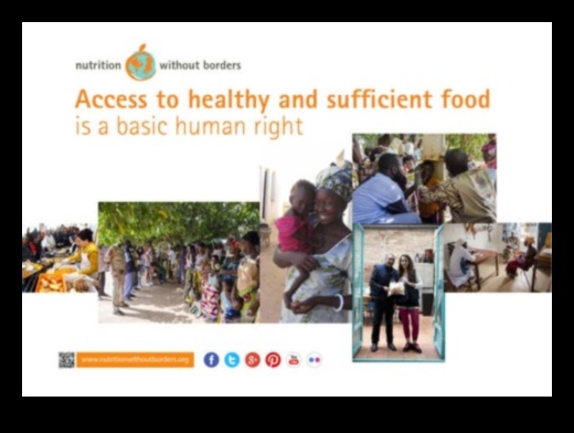 Beyond Borders: Sabiedrības veselības uztura iniciatīvas visā pasaulē