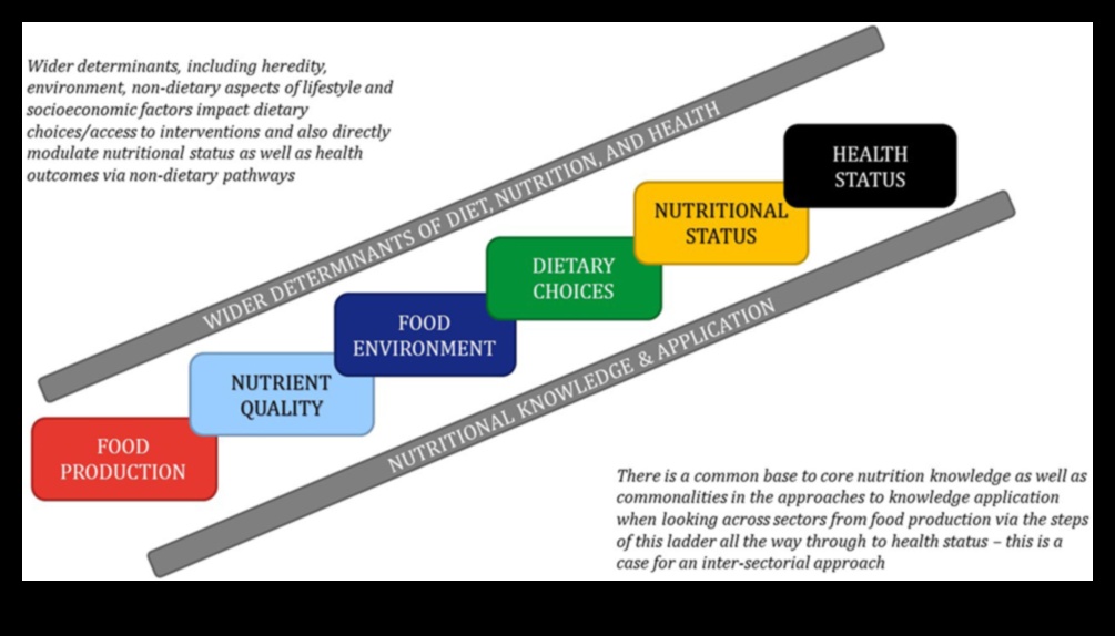 Beyond Borders: Sabiedrības veselības uztura iniciatīvas visā pasaulē
