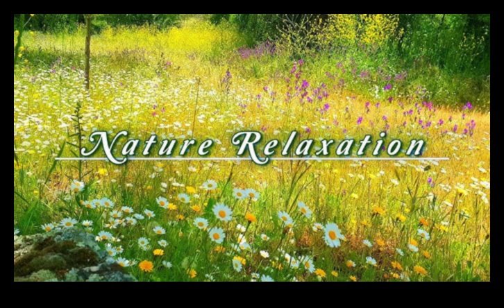 Dabas čuksti: valdzinošas ainavas, kas uzrunā sirdi