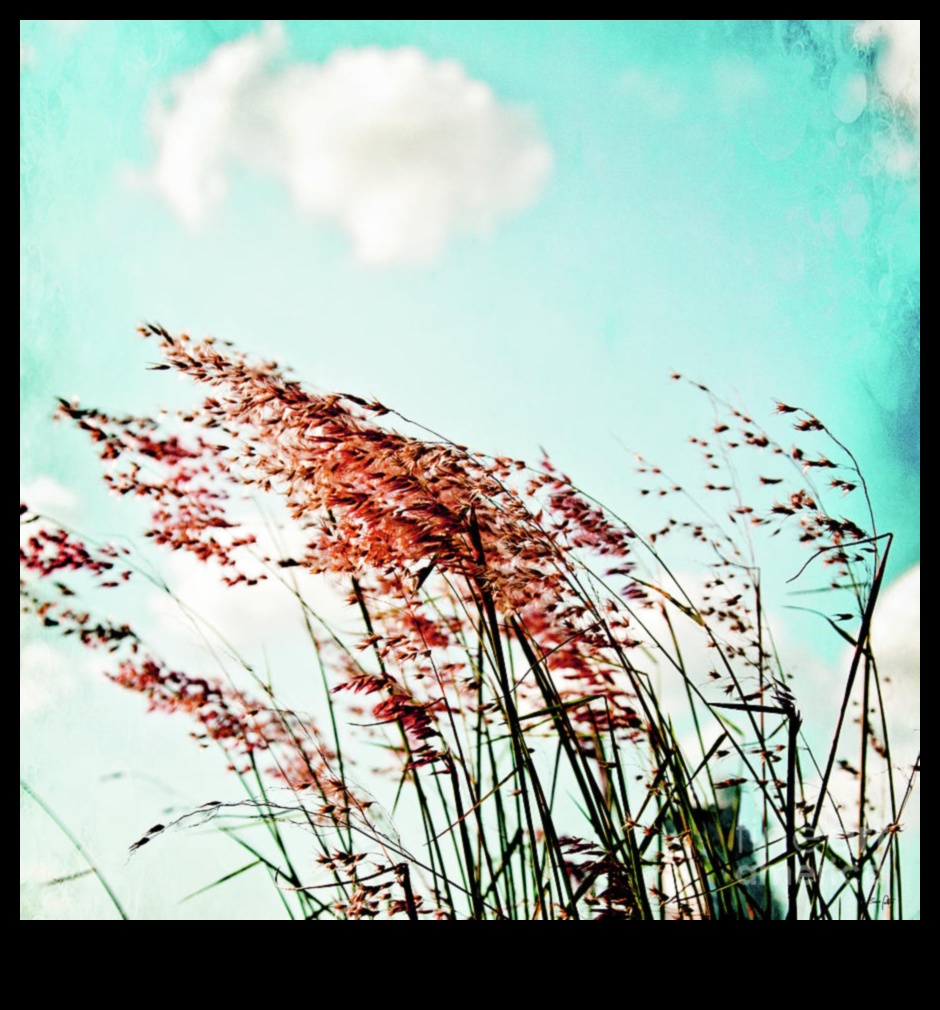 Dabas čuksti: valdzinošas ainavas, kas uzrunā sirdi