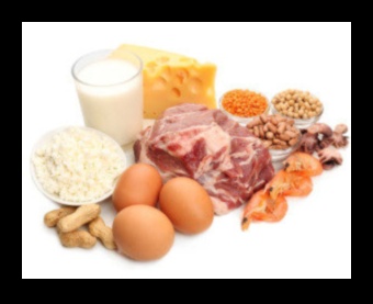 Olbaltumvielu loma sabalansētā uzturā