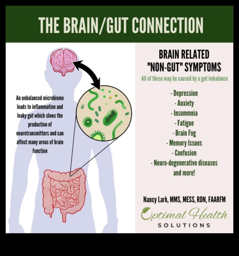 Ilgtermiņa diētas un zarnu veselība: simbiotisks savienojums