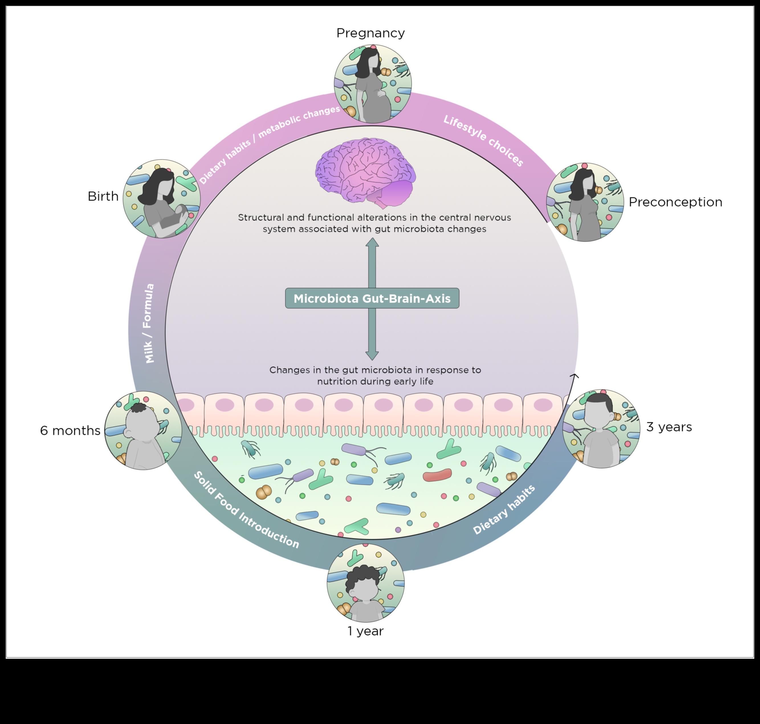 Atomi līdz apetītei: Uztura bioķīmijas dinamikas izpratne
