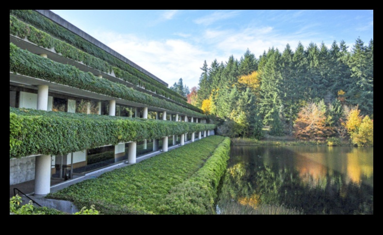 Kā ainavas ietekmē kopienu kultūras un sociālo praksi?