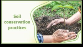 Kā dažādas augsnes saglabāšanas metodes ietekmē ainavu ilgtspējību?