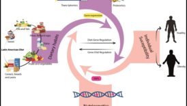 Dzīvesveida diētas un ģenētikas ietekme uz rezultātiem