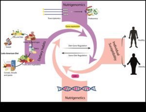 Dzīvesveida diētas un ģenētikas ietekme uz rezultātiem