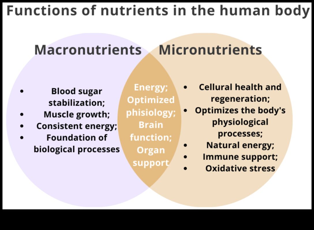 Ienirstiet par uzturu: izpētiet svarīgāko mikroelementu pasauli
