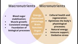 Ienirstiet par uzturu: izpētiet svarīgāko mikroelementu pasauli