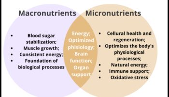 Ienirstiet par uzturu: izpētiet svarīgāko mikroelementu pasauli