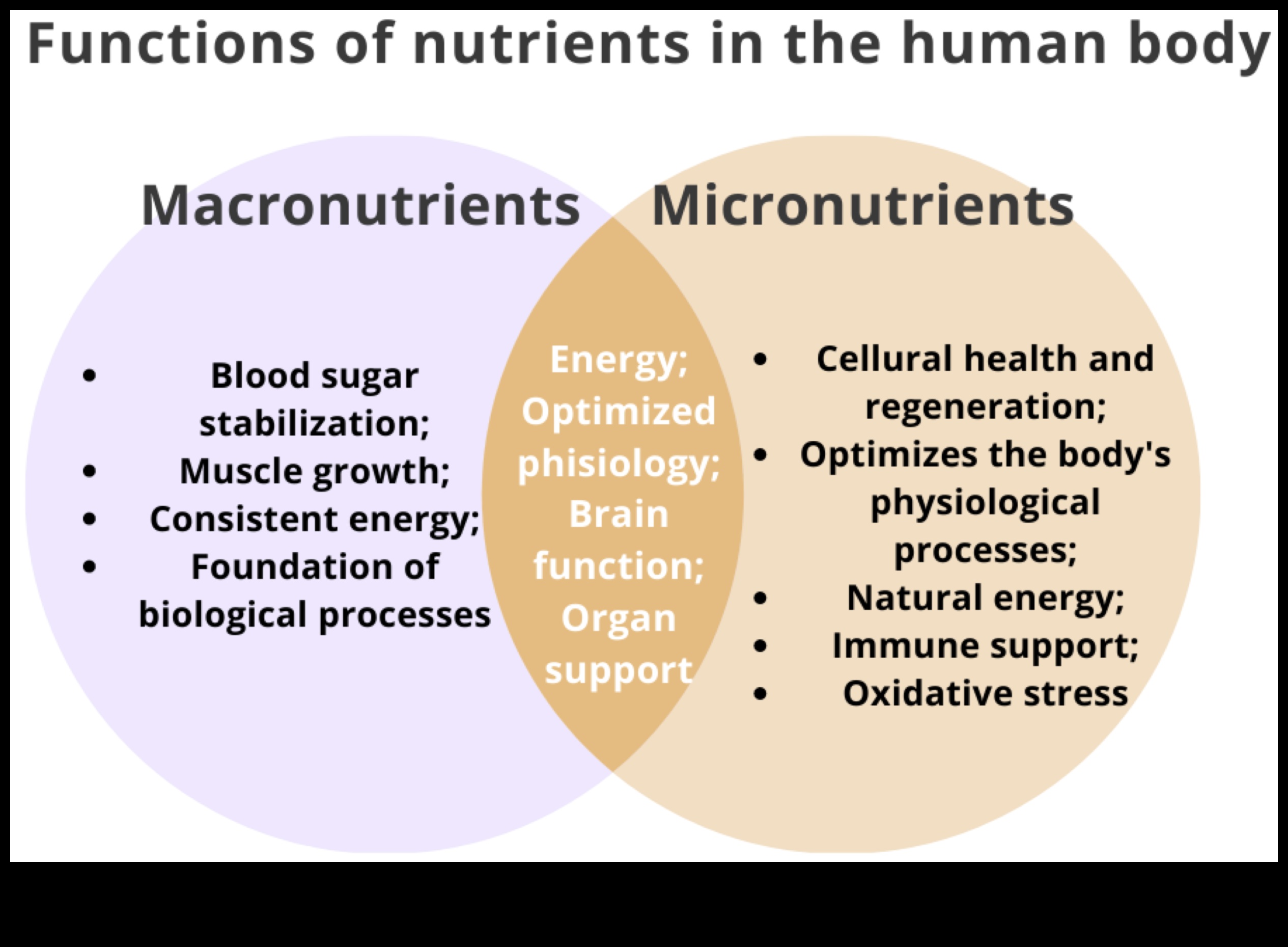 Ienirstiet par uzturu: izpētiet svarīgāko mikroelementu pasauli