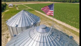 Pārpilnības lauki: lauksaimniecības zeme un labības lauki fokusā