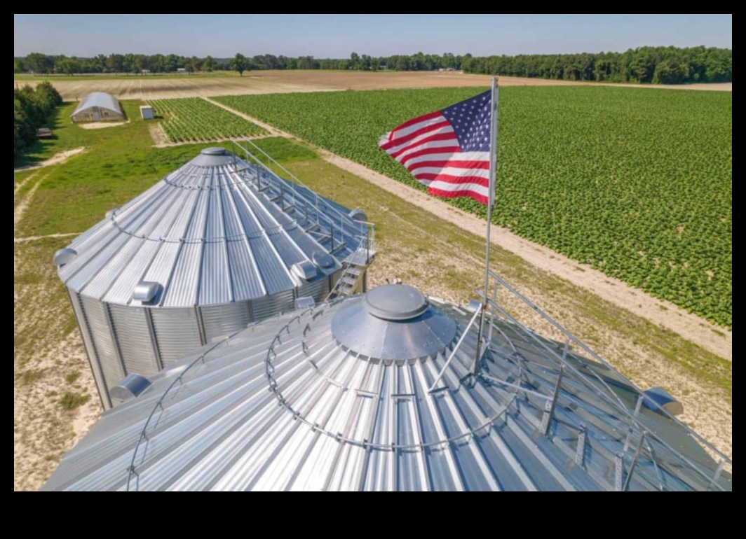 Pārpilnības lauki: lauksaimniecības zeme un labības lauki fokusā