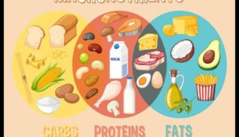 Makroelementu spožums: Rada starojošu veselību no iekšpuses