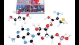 Molekulārais audekls: Uztura bioķīmijas portreta gleznošana