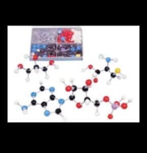 Molekulārais audekls: Uztura bioķīmijas portreta gleznošana