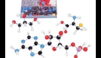 Molekulārais audekls: Uztura bioķīmijas portreta gleznošana