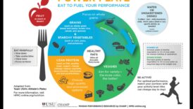 Strāvas plāksne: izmantojiet barības vielas, lai jūs kļūtu stiprāks