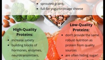 Olbaltumvielu loma sabalansētā uzturā