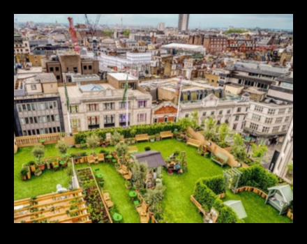 Atpūtas uz jumta: Skyline Escapes pilsētas oāzēs