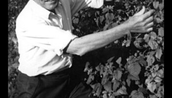 Vegānisms un veselas pārtikas nozīme