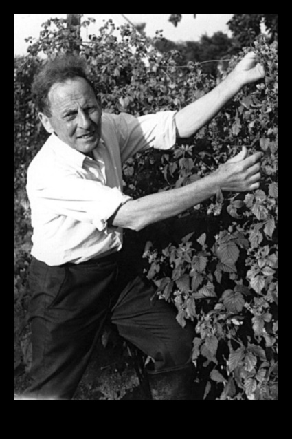 Vegānisms un veselas pārtikas nozīme